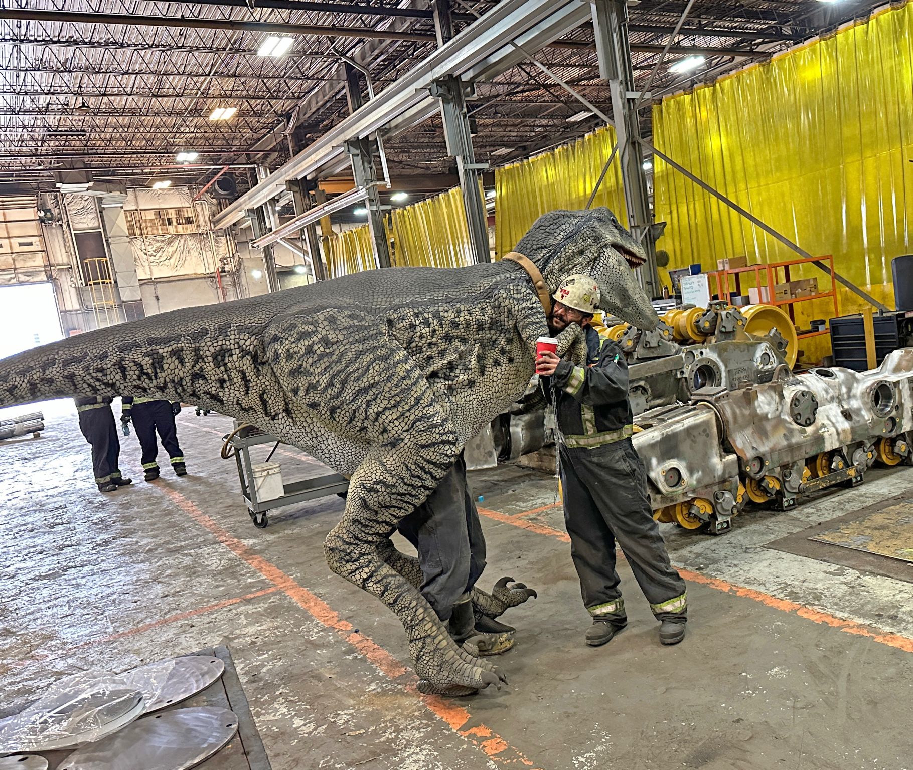 What Do Raptor's Eat?
