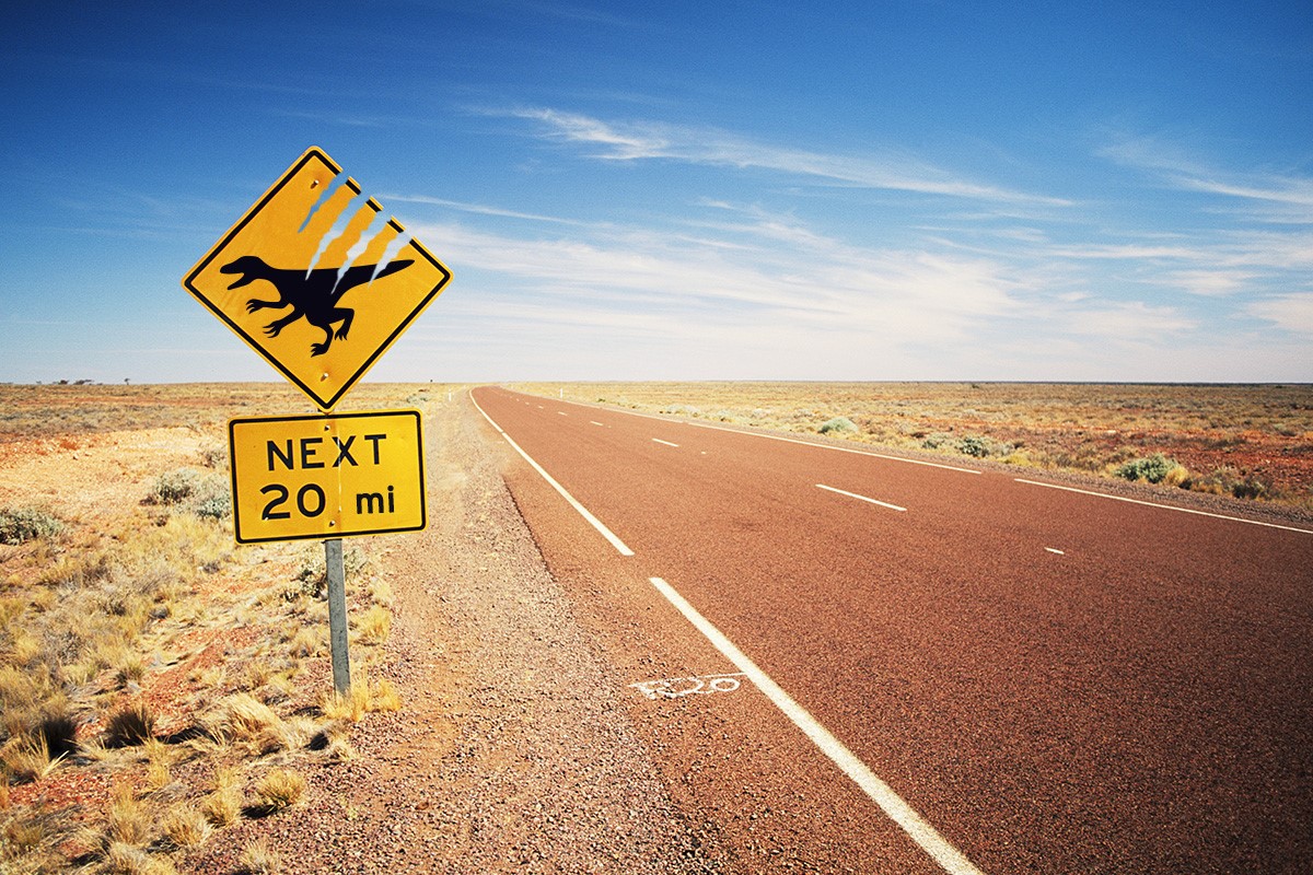 Watch for Raptors!