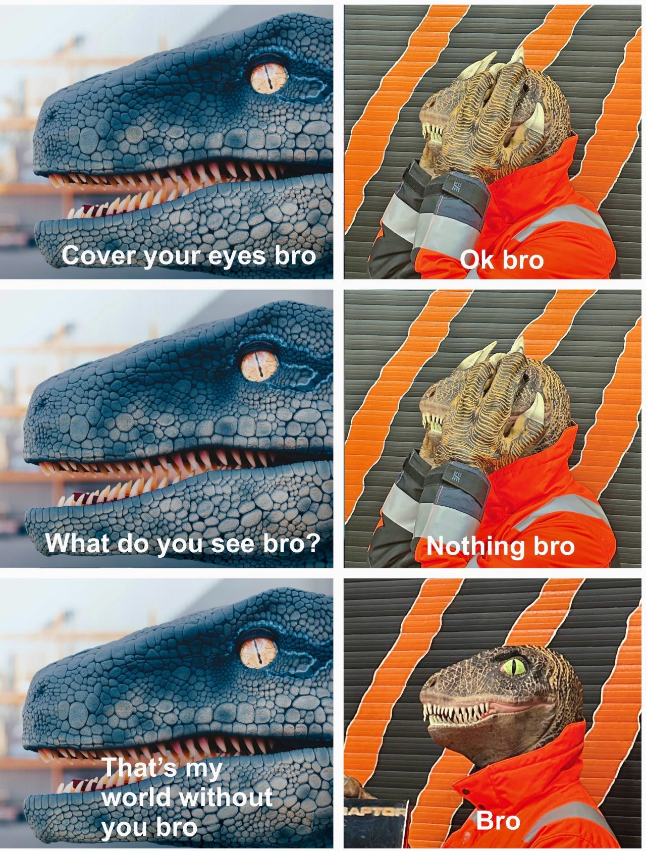 Meme en seis vi&ntilde;etas: la cabeza de un raptor pregunta Cover your eyes bro, What do you see bro? y That's my world without you bro, mientras una persona con m&aacute;scara de dinosaurio responde Ok bro, Nothing bro y Bro