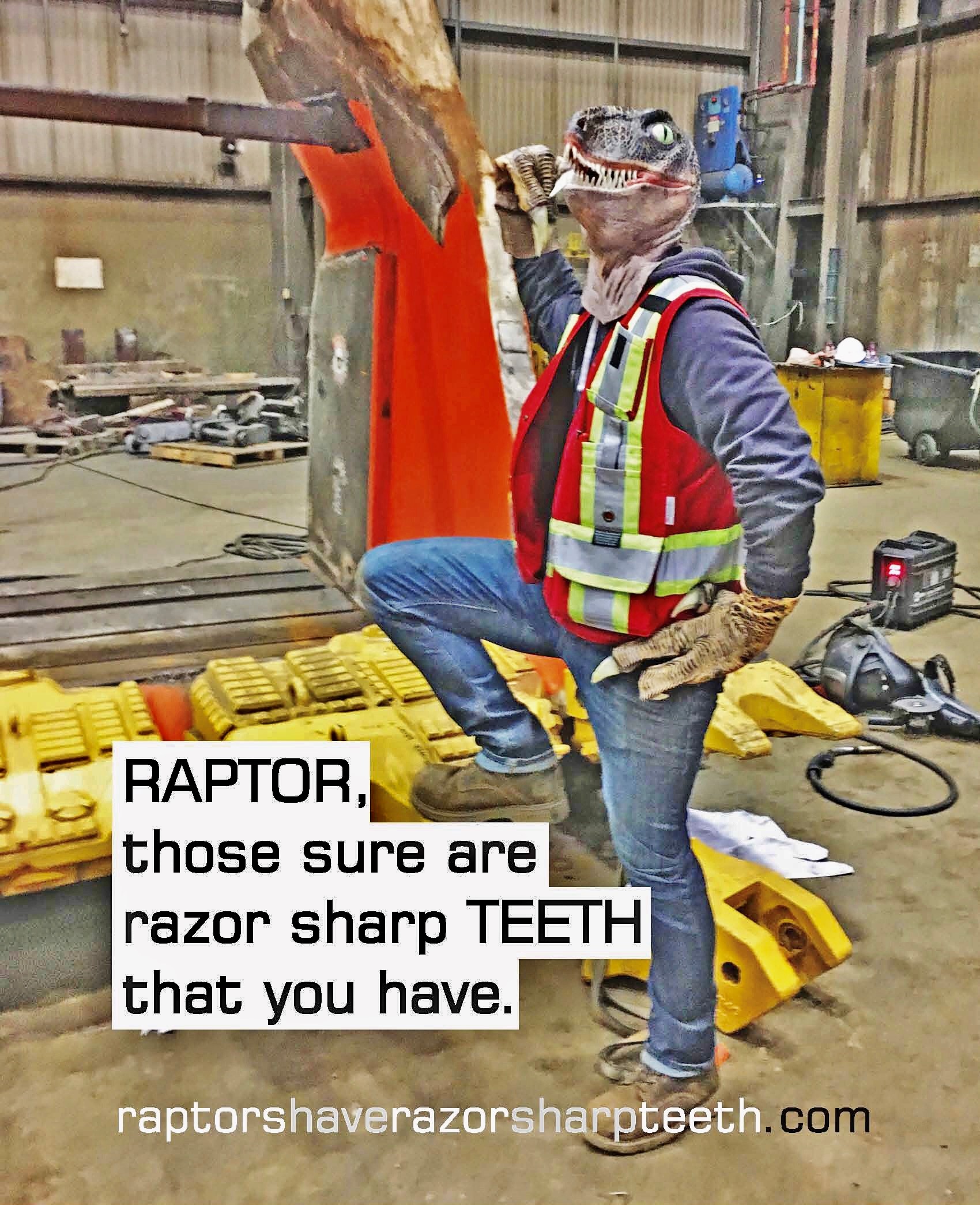Raptors Have Razor Sharp Teeth