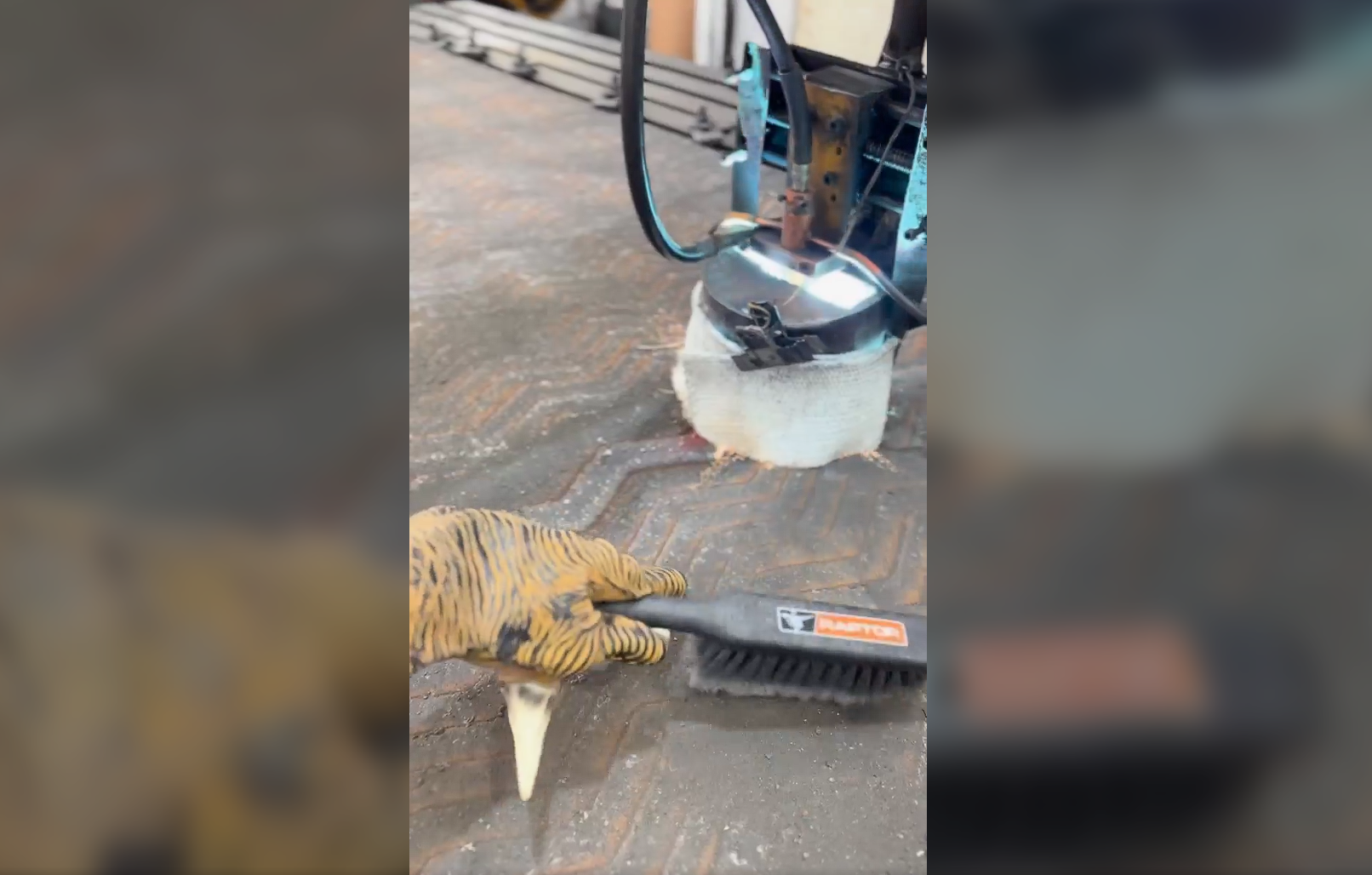 <p>There’s only one RaptorPlate®</p>