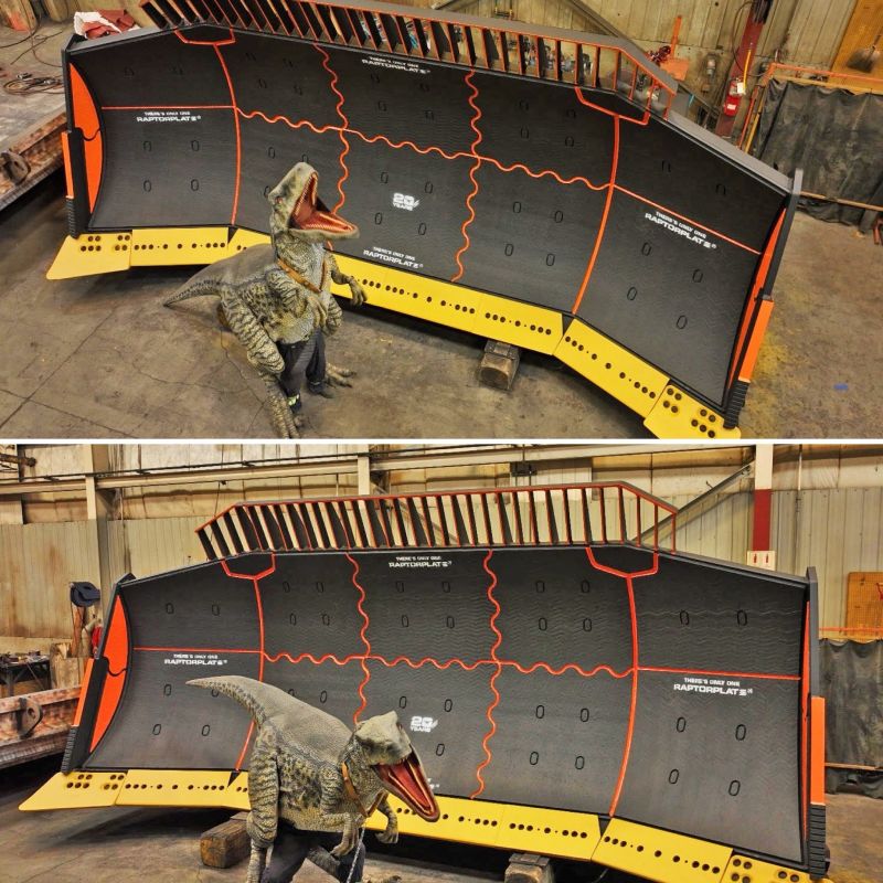<p>Now that's something to ROAR about!</p>