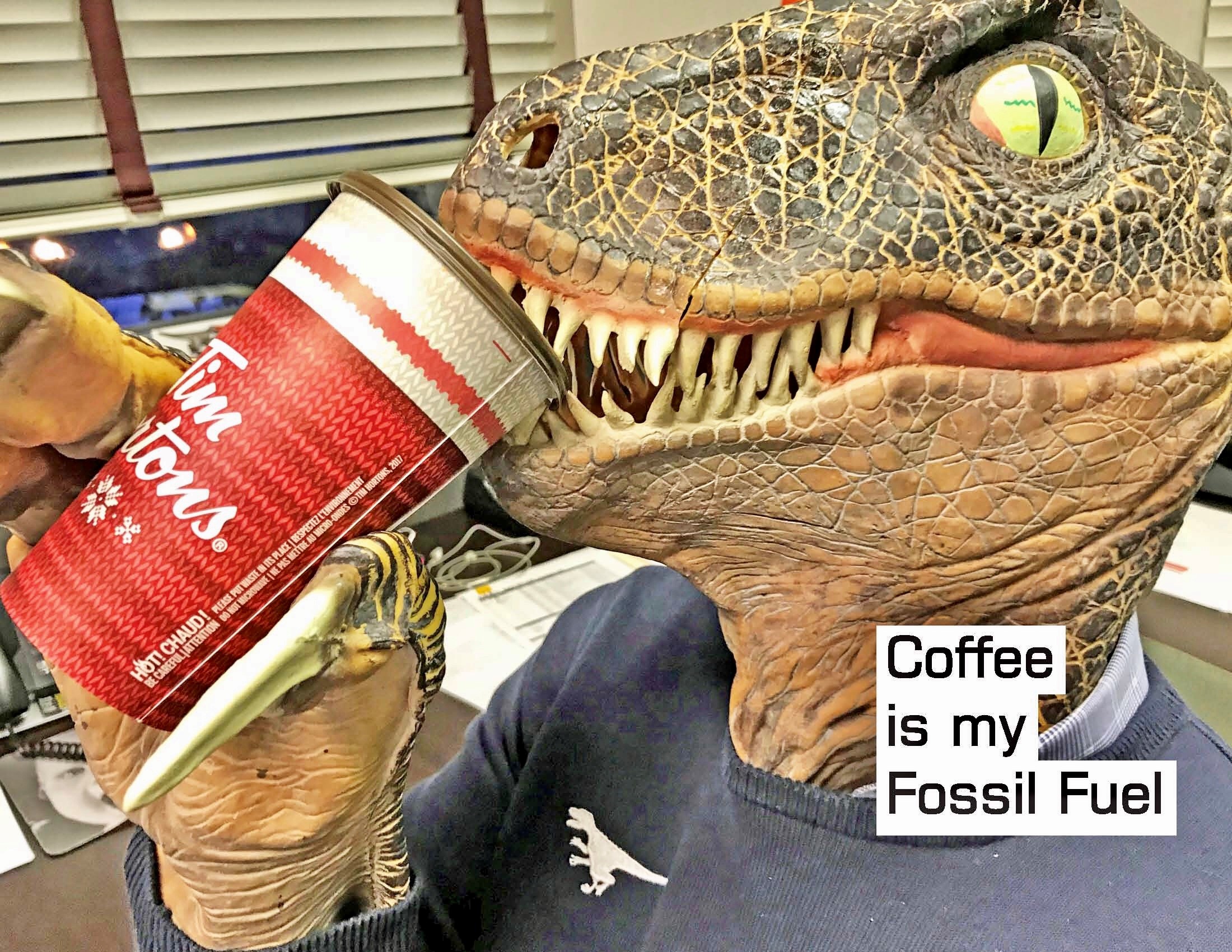 Raptor Fuel