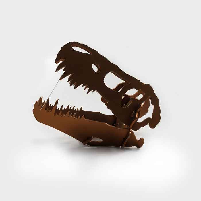 Tarjetero Raptor